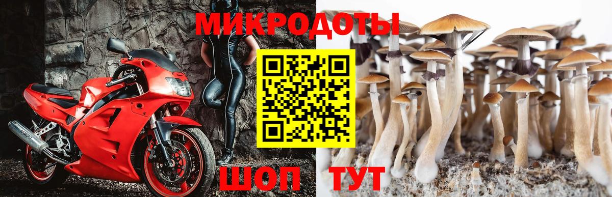 Псилоцибиновые грибы MAGIC MUSHROOMS Каспийск